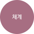 체계
